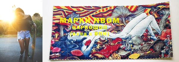 PSILOCYBIN Абинск