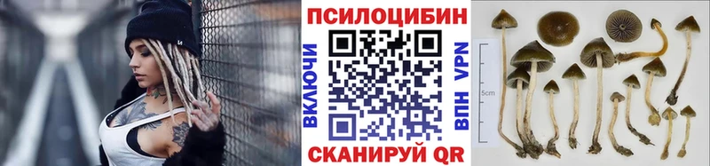 omg онион  Шахты  Псилоцибиновые грибы прущие грибы 